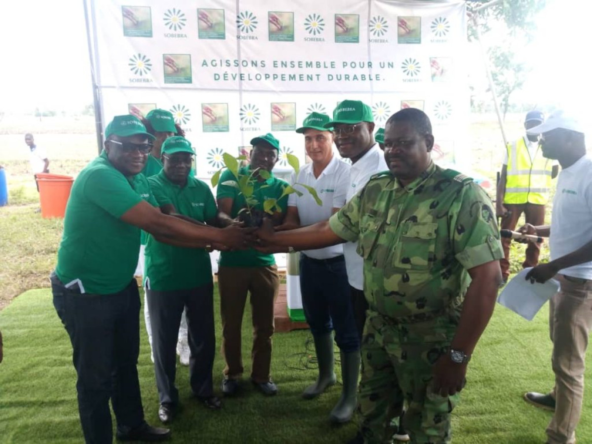 EN CAMPAGNE DE REBOISEMENT A PARAKOU ET TCHAOUROU :  La Sobébra, une meilleure entreprise éco-citoyenne au Bénin