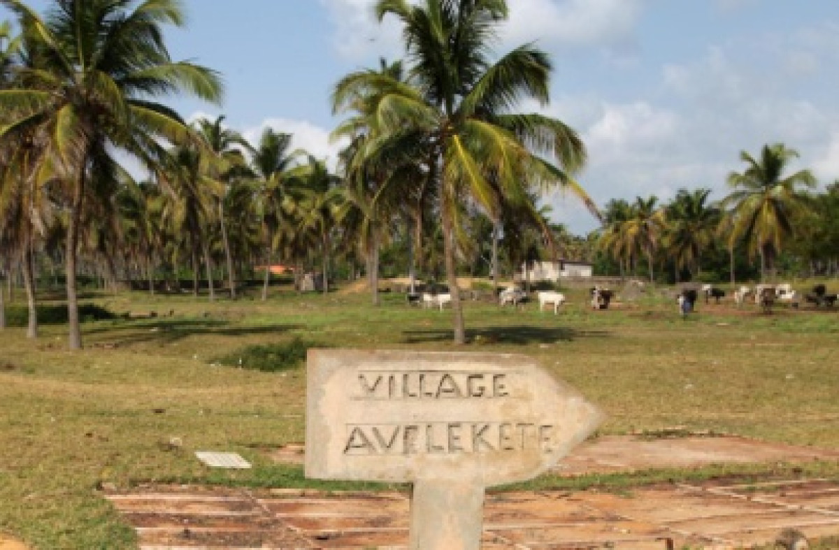 TOURISME AU BÉNIN : Un recrutement de 16 profils lancé