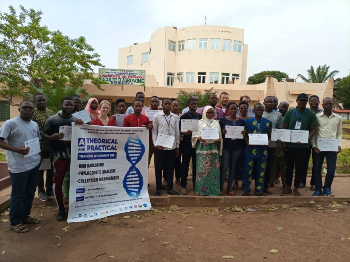 COLLECTION DES POISSONS D&rsquo;EAUX DOUCES ET SAUMÂTRES DU BÉNIN : 24 enseignants-chercheurs et chercheurs formés à l&rsquo;Up . L&rsquo;Ucc du Ghana et l&rsquo;Up, l&rsquo;Uac, l&rsquo;Una, l&rsquo;Irhob du Bénin représentés