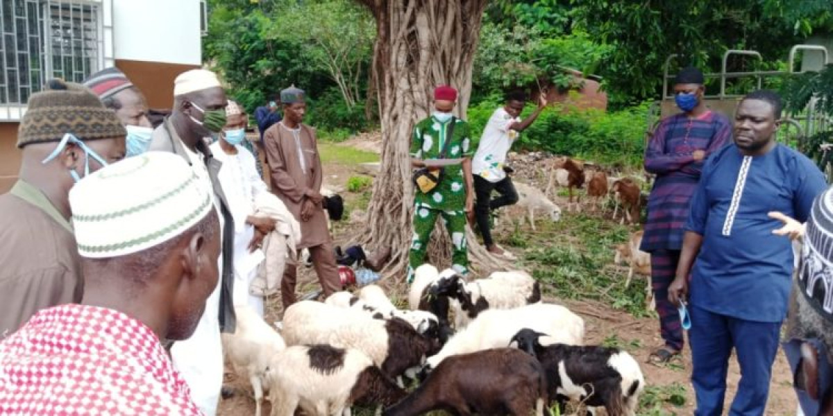 PROMOTION DE L&rsquo;ELEVAGE DANS LE SEPTENTRION : Le président de l&rsquo;Apess Mama Sambo offre des kits ovins aux éleveurs