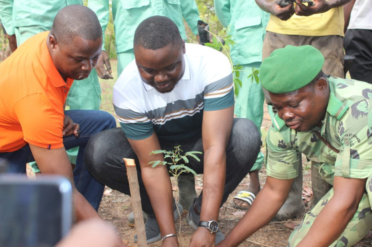 LUTTE CONTRE LA DÉSERTIFICATION DANS L’ALIBORI : 2 058 plants mis en terre à Banikoara