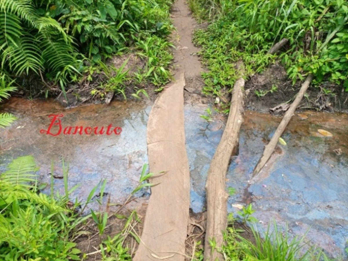 BENIN/IMPRATICABILITE DES ROUTES DANS LES MILIEUX RURAUX : Une enquête de Banouto révèle le calvaire des femmes enceintes