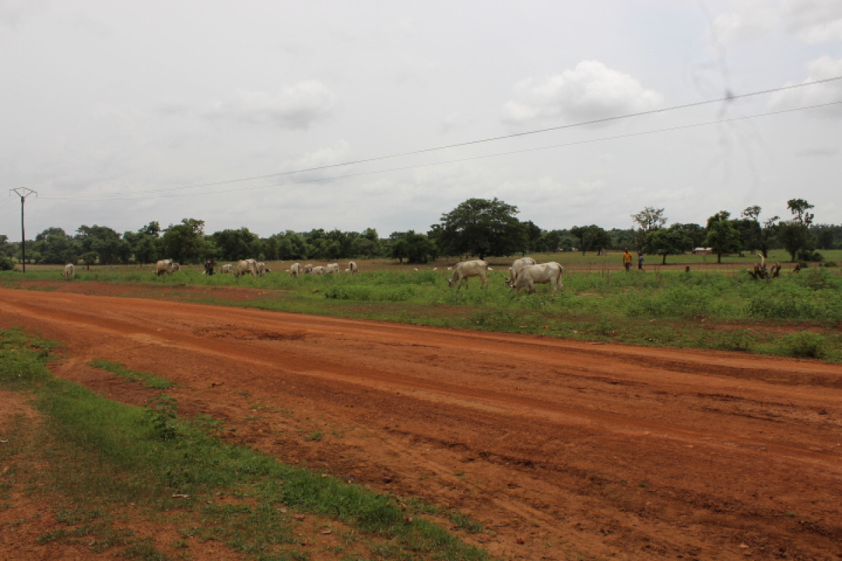CREATION DES COULOIRS ET AIRES DE PATURAGE SUR L&rsquo;AXE GOMPAROU-FOUNOUGO-KANDEROU : Le conseil communal réalise un vieux rêve des agro-éleveurs