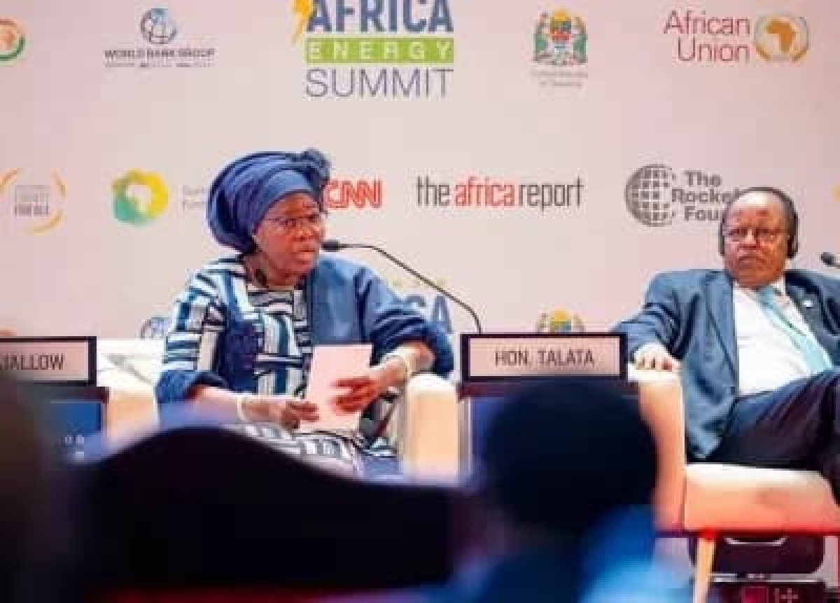 Sommet africain sur l’énergie en tanzanie: les efforts du bénin salués