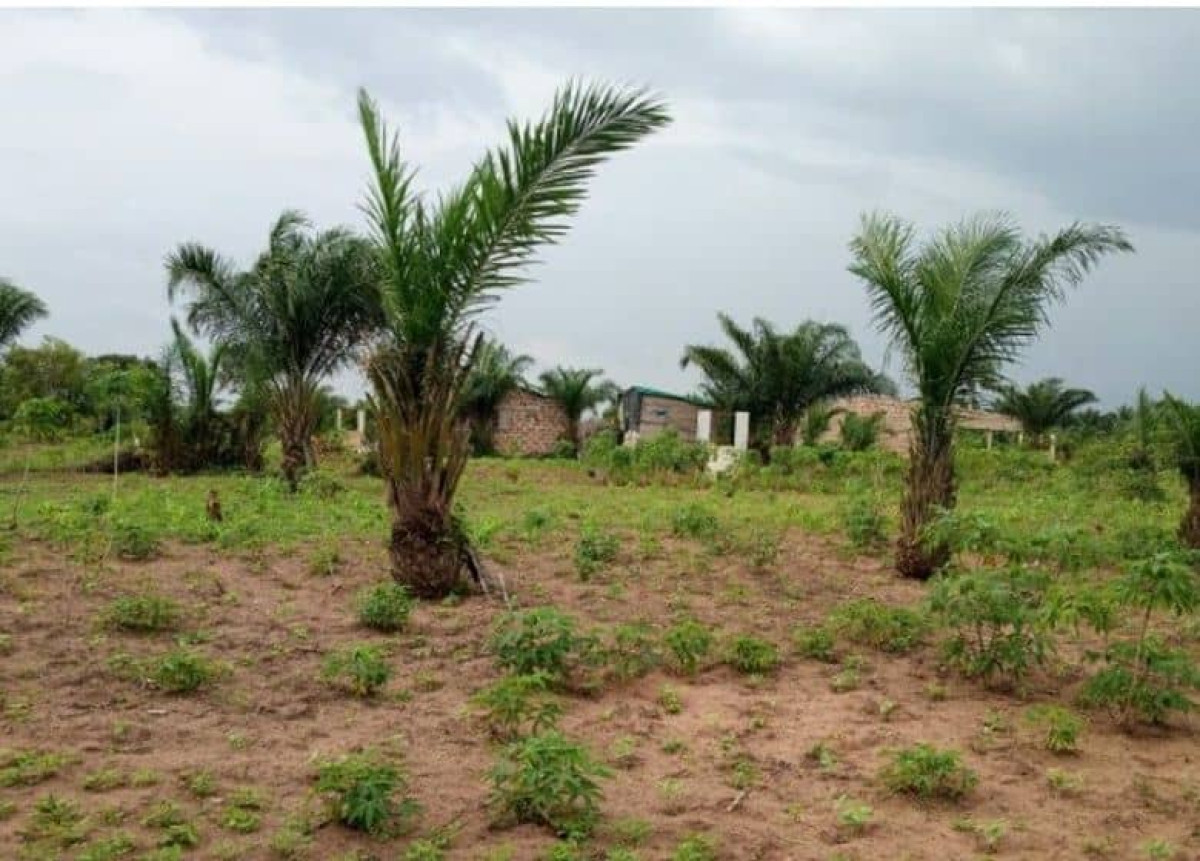 FONCIER AU BÉNIN : La délivrance de l&rsquo;Attestation de Détention Coutumière suspendue