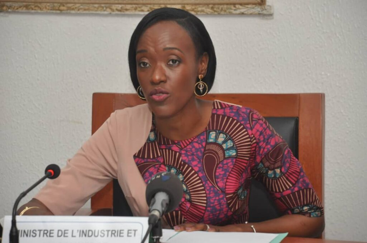 CAMPAGNE DE COMMERCIALISATION DES NOIX DE CAJOU AU BÉNIN : Les mises en garde de la ministre du commerce sur une pratique
