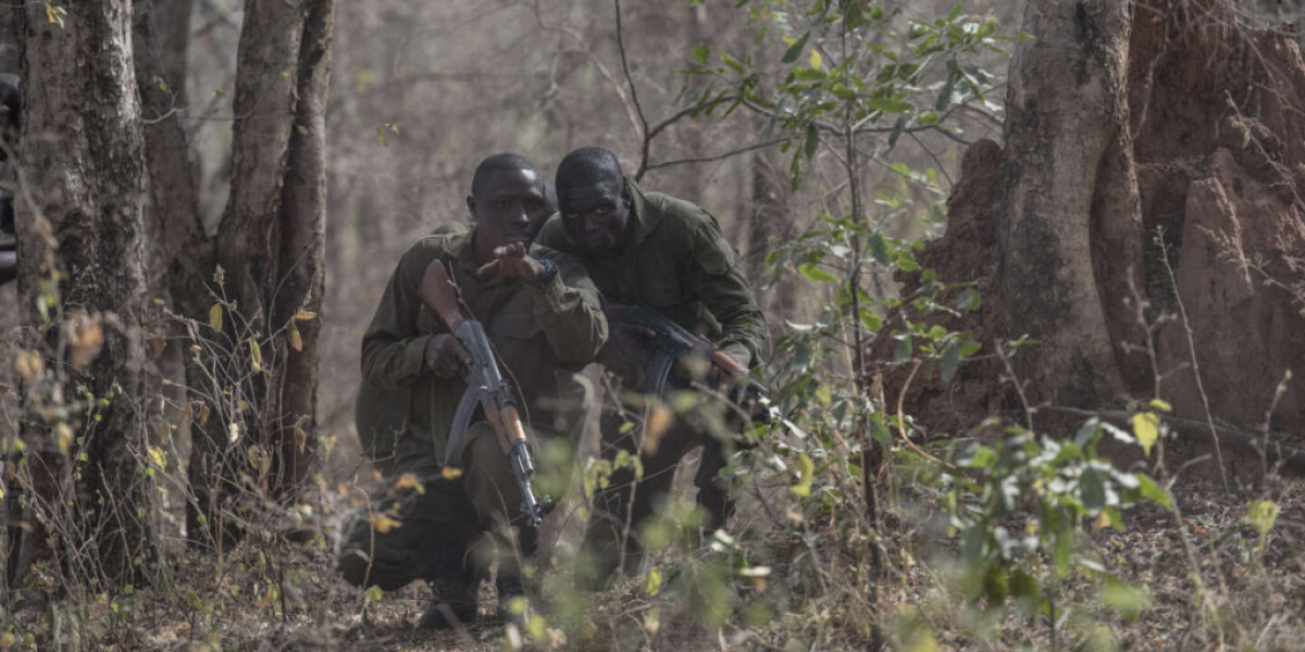 LUTTE CONTRE LE TERRORISME :  Deux Iani neutralisés par l&rsquo;armée à Karimama 