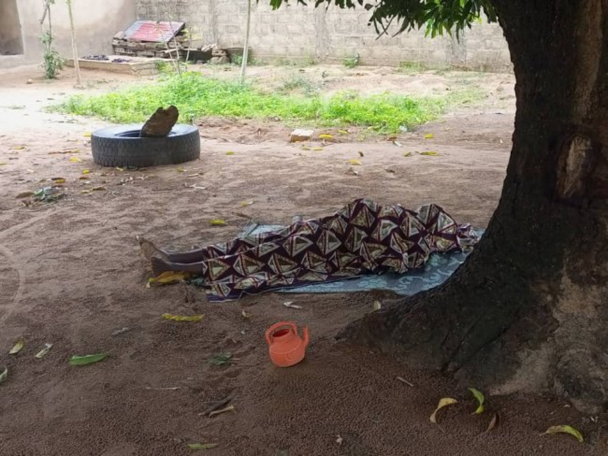 BÉNIN :  Deux personnes décèdent après consommation de la viande de chat