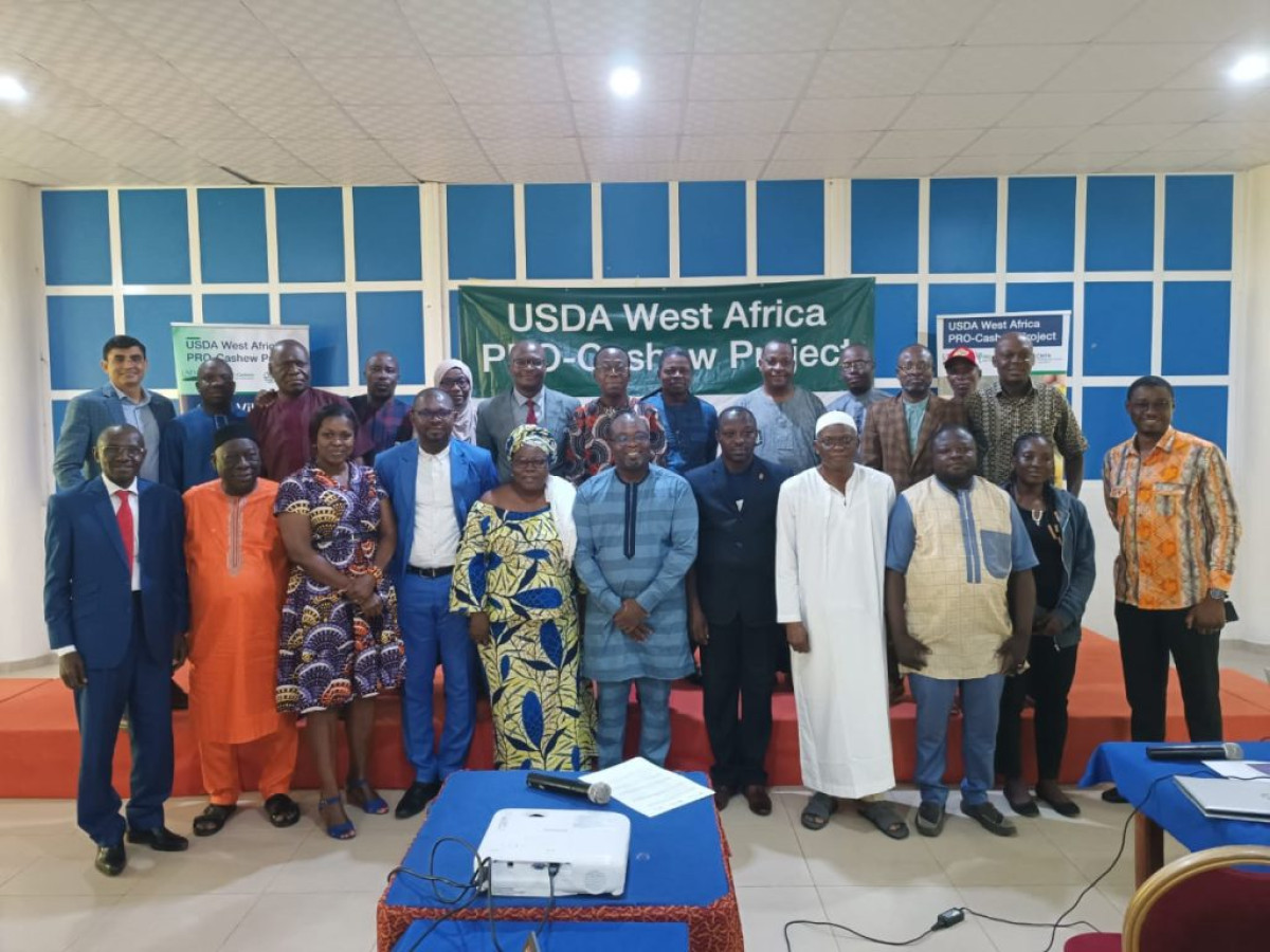POLITIQUES ET RÉGLEMENTATIONS DE LA FILIÈRE CAJOU EN AFRIQUE DE L&rsquo;OUEST :  PRO-Cashew et le Maep restituent les recommandations des ateliers régionaux aux acteurs béninois