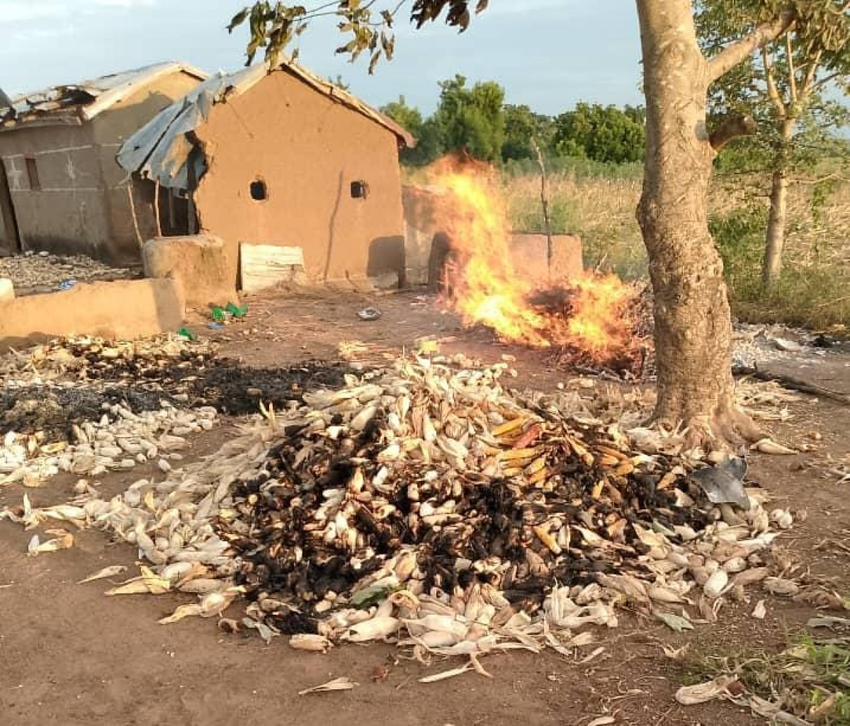 AFFRONTEMENT ENTRE ÉLEVEURS ET POPULATIONS  :  Deux personnes trouvent la mort à Matéri 
