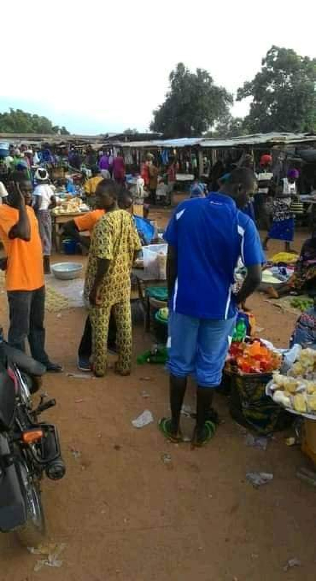 FAIT DIVERS À NIKKI : Des abeilles envahissent le marché de Sakabansi