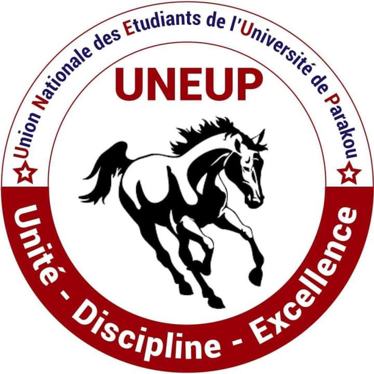 ÉLECTION DES ORGANISATIONS ESTUDIANTINES LES PLUS REPRESENTATIVES A L’UP : L’Uneup en tête après les résultats provisoires