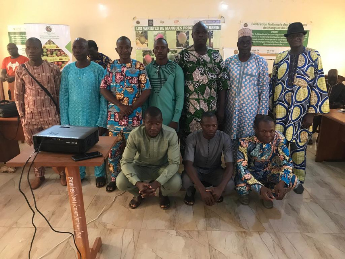 DÉVELOPPEMENT DE LA FILIÈRE MANGUE AU BÉNIN : Les membres de la Fenaprom s’engagent