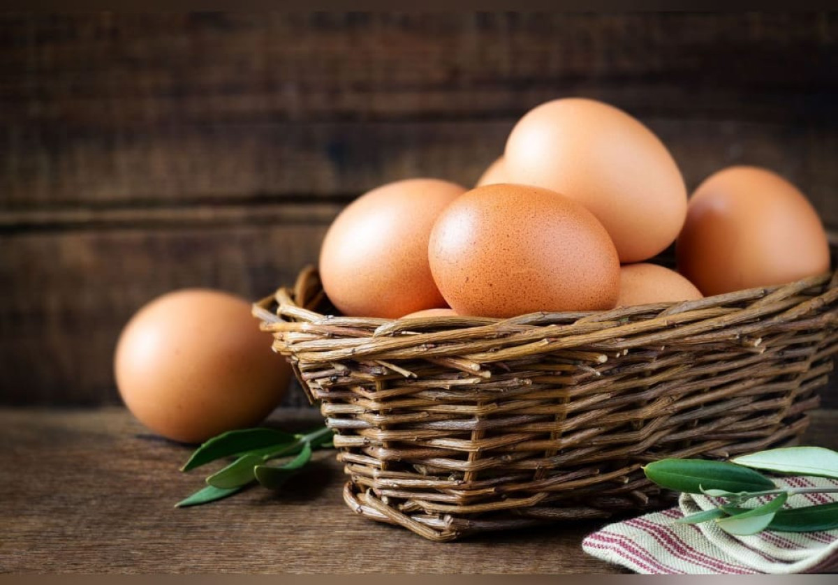 SEGBANA : Des œufs impropres à la consommation détruits