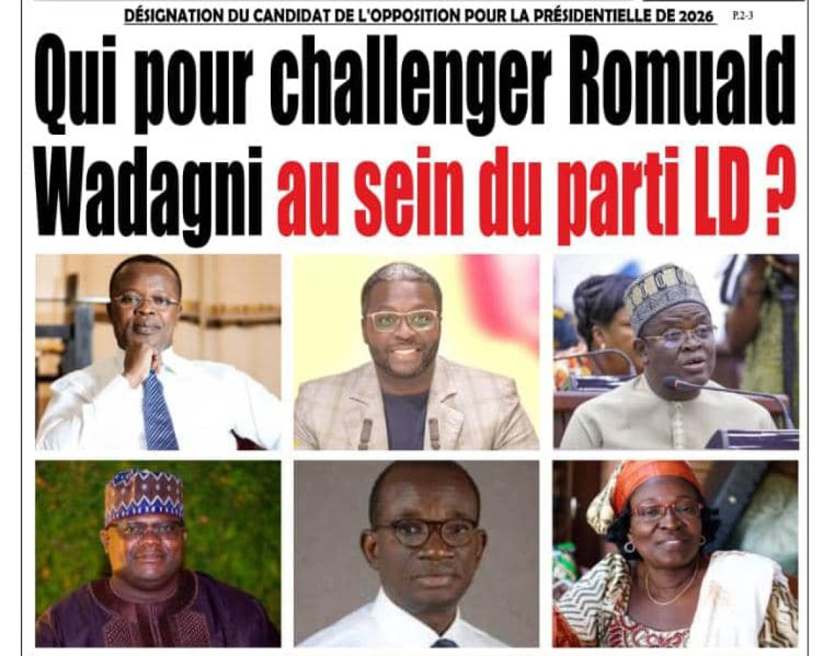 Désignation du candidat de l'opposition pour la présidentielle de 2026: qui pour challenger Romuald Wadagni au sein du parti Ld