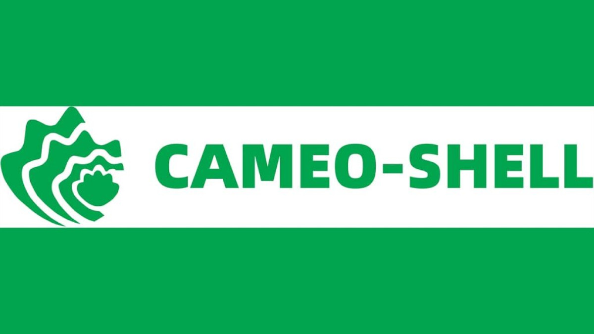 AFFAIRE CAMEO SHELL : Deux responsables de la plateforme derrière les barreaux . Des clients dans l’impossibilité de retirer leurs sous