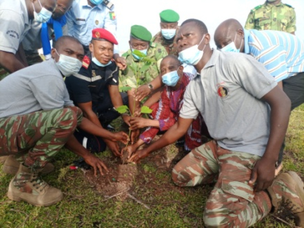 JOURNEE MONDIALE DE L’ENVIRONNEMENT DANS LE BORGOU : 855 plants mis en terre dans le cadre du reboisement inter-forces