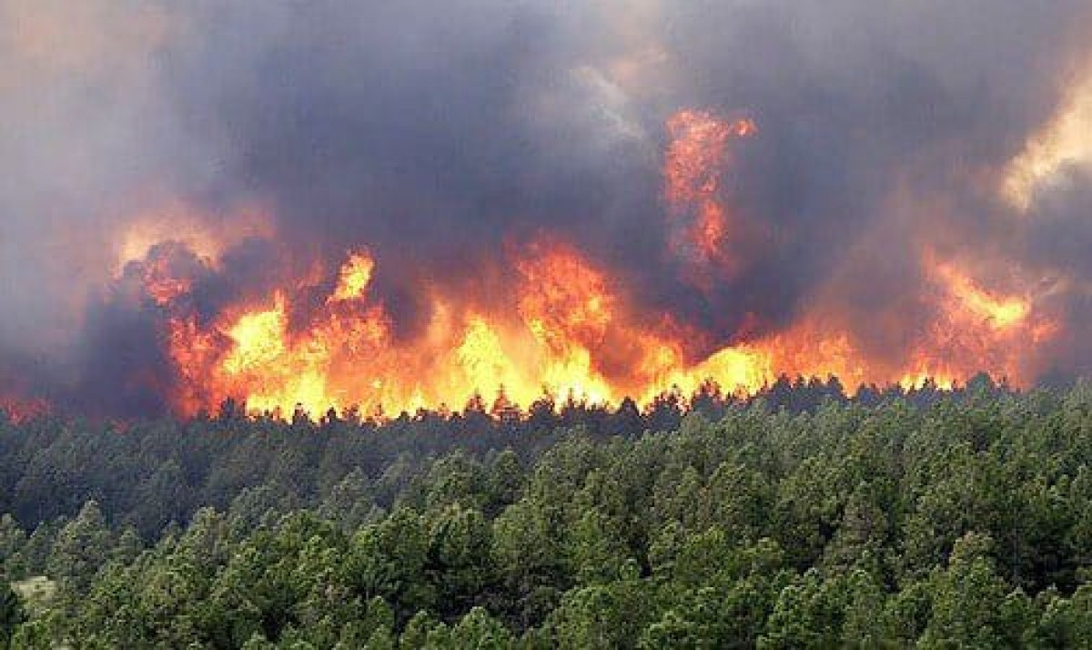 MAROC : Un millier d’hectares de forêt parti en fumée . 500 familles évacuées