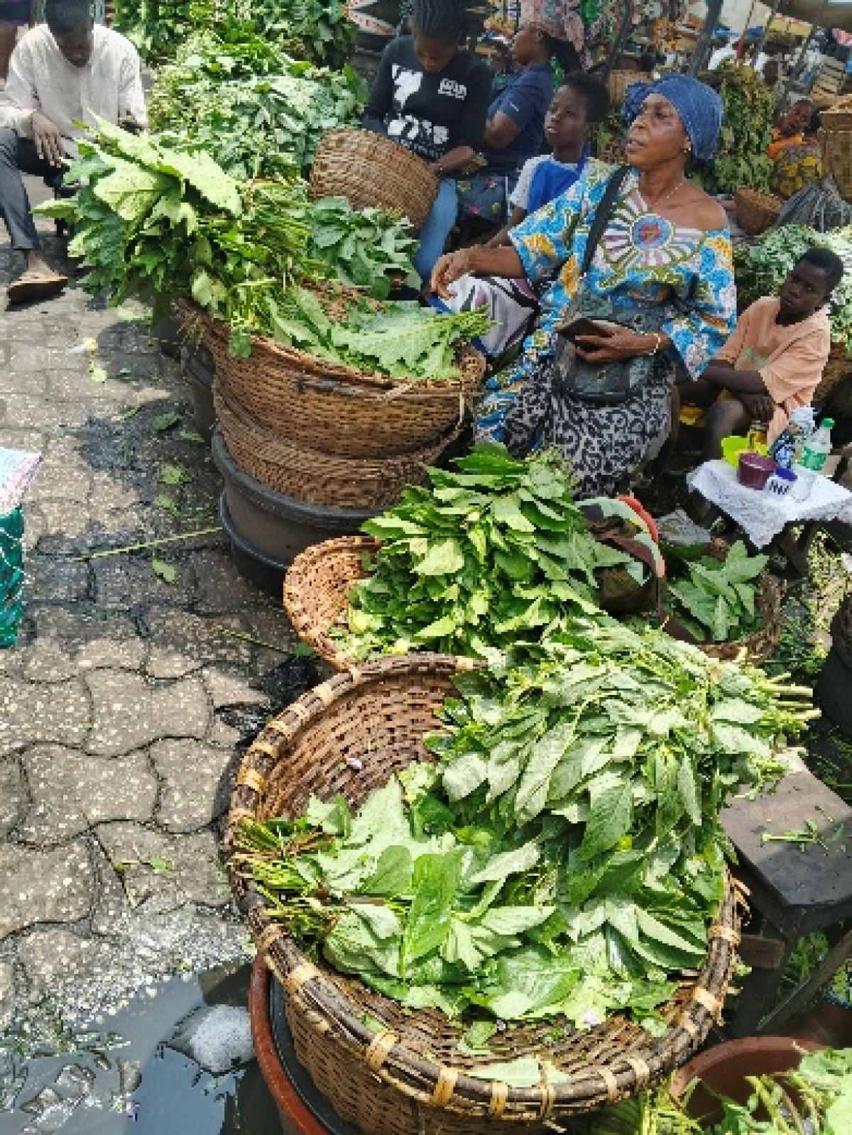 Bénin/Consommation des légumes: une arme puissante de protection contre les Maladies Non Transmissibles