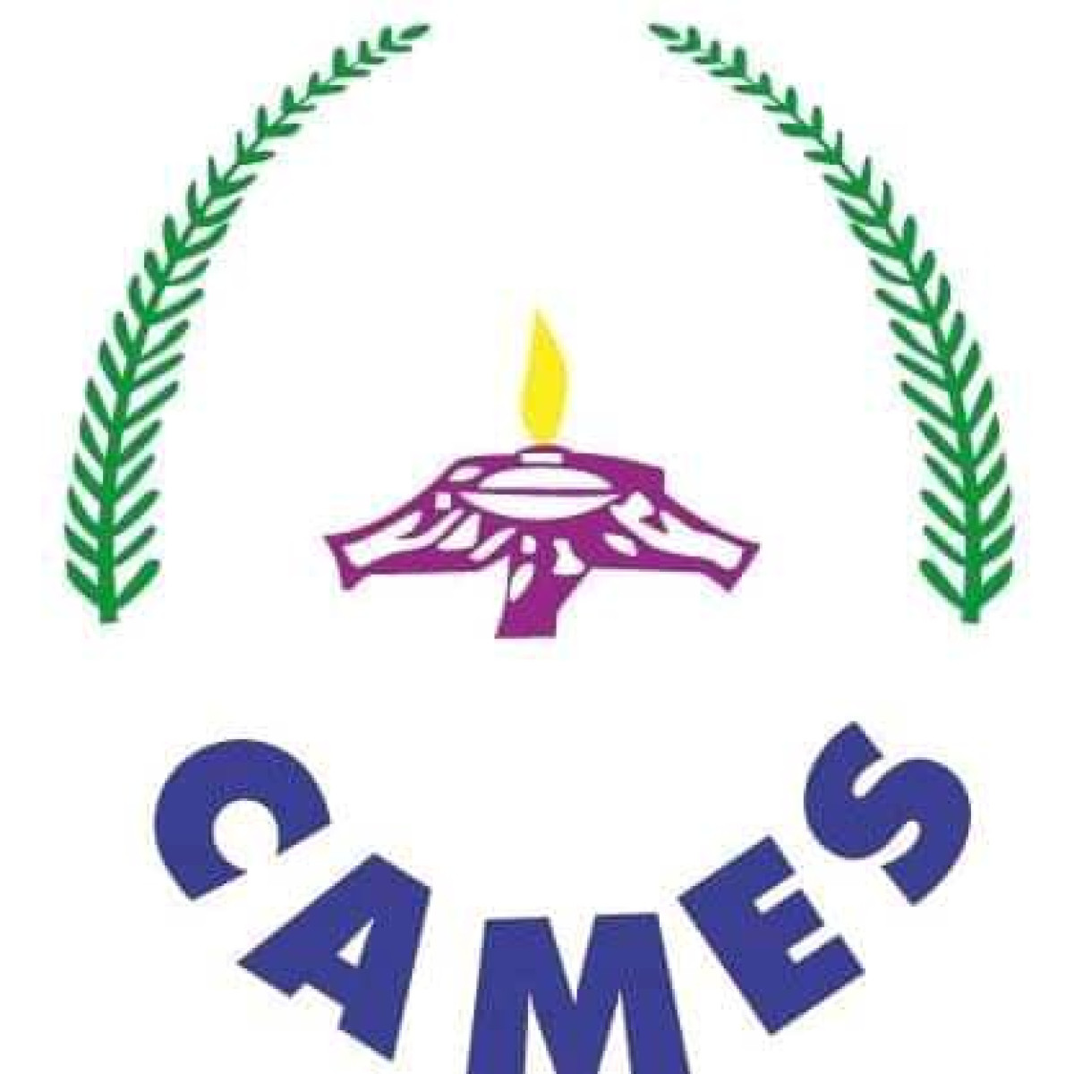 POUR L&rsquo;AMELIORATION DE LA QUALITE DE L&rsquo;ENSEIGNEMENT SUPERIEUR :  Le Cames envisage évaluer les enseignants