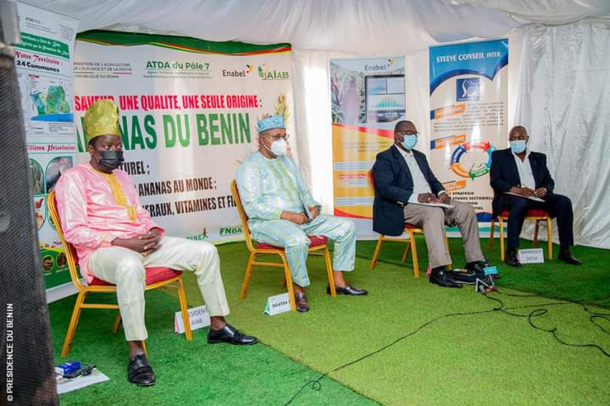 PREMIERE EDITION DES JOURNEES DE L’ANANAS DU BENIN : Les acteurs se donnent la main pour une revalorisation de la filière