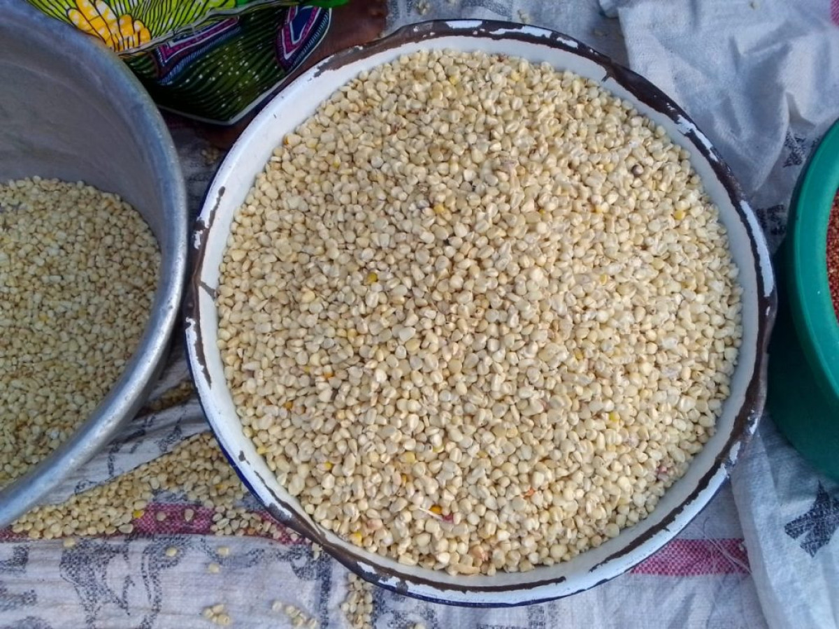 AUGMENTATION DU PRIX DE MAÏS À PARAKOU : La bassine de 25kg passe de 7 500f à 10 000f . Les populations appellent le gouvernement au secours