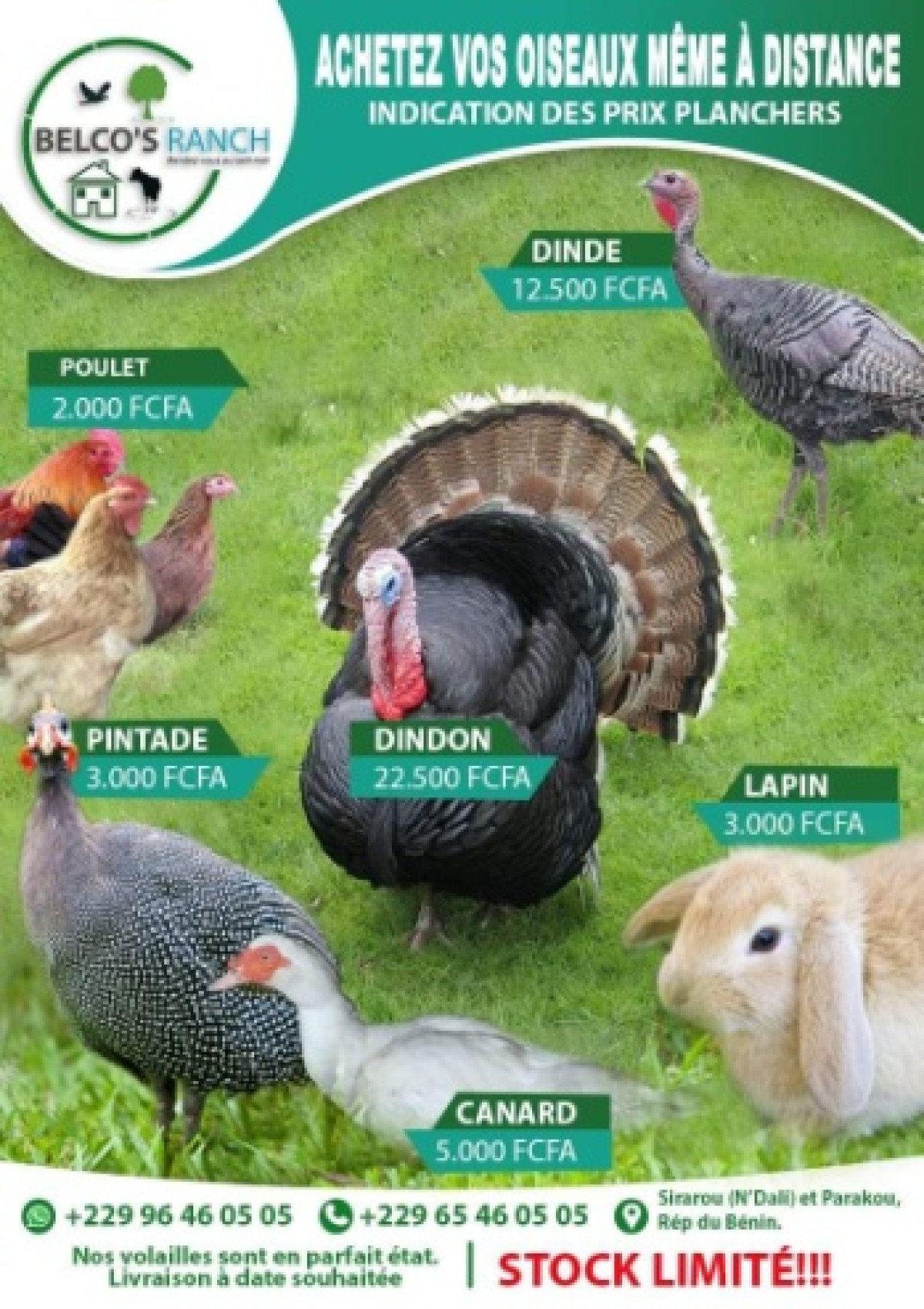 POUR MANGER SAIN PENDANT LES FÊTES DE FIN D’ANNÉE, Optez pour les produits de la ferme Belco’s Ranch