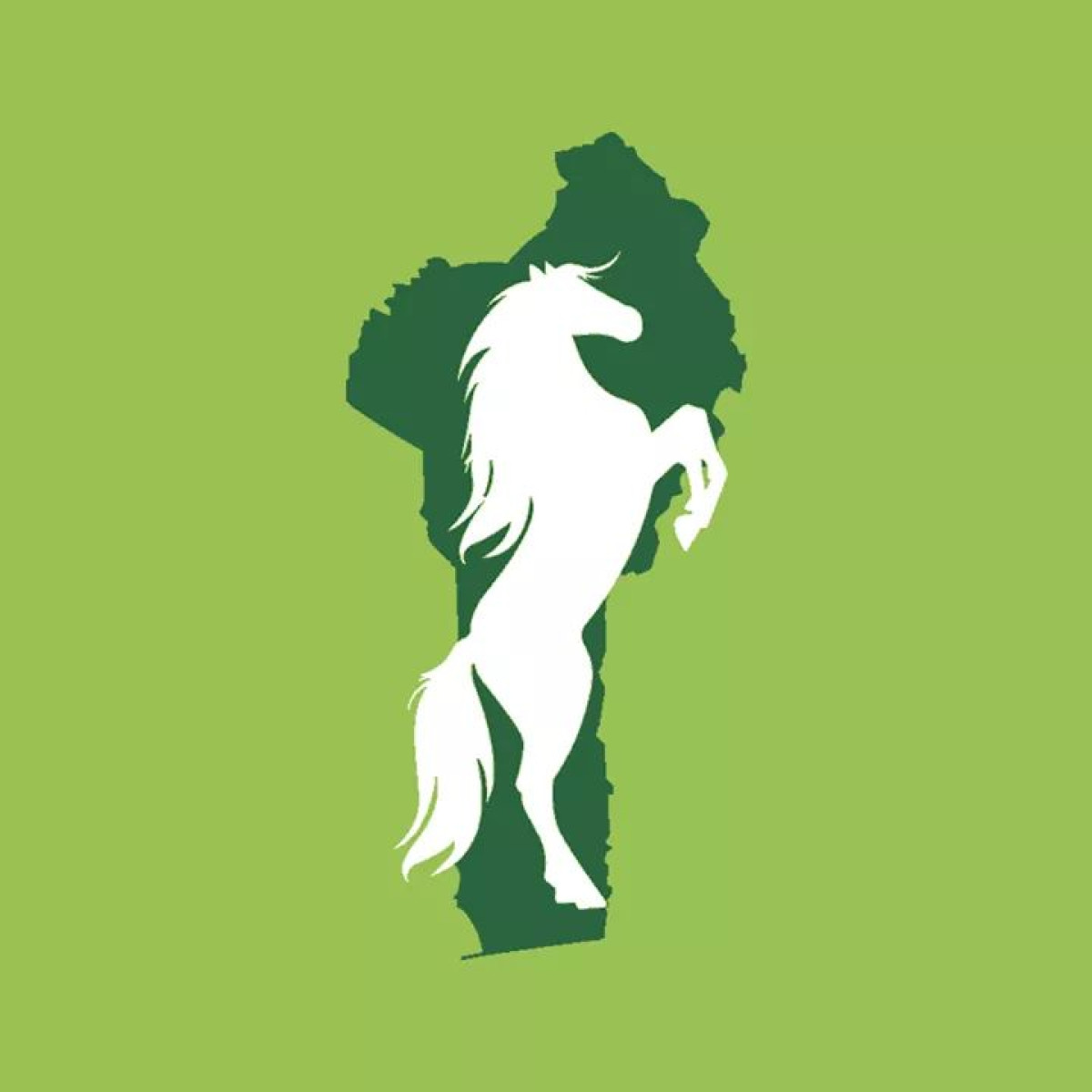 COMMUNALES DU 17 MAI PROCHAIN : La cité impériale adopte le cheval cabré .Voici les raisons