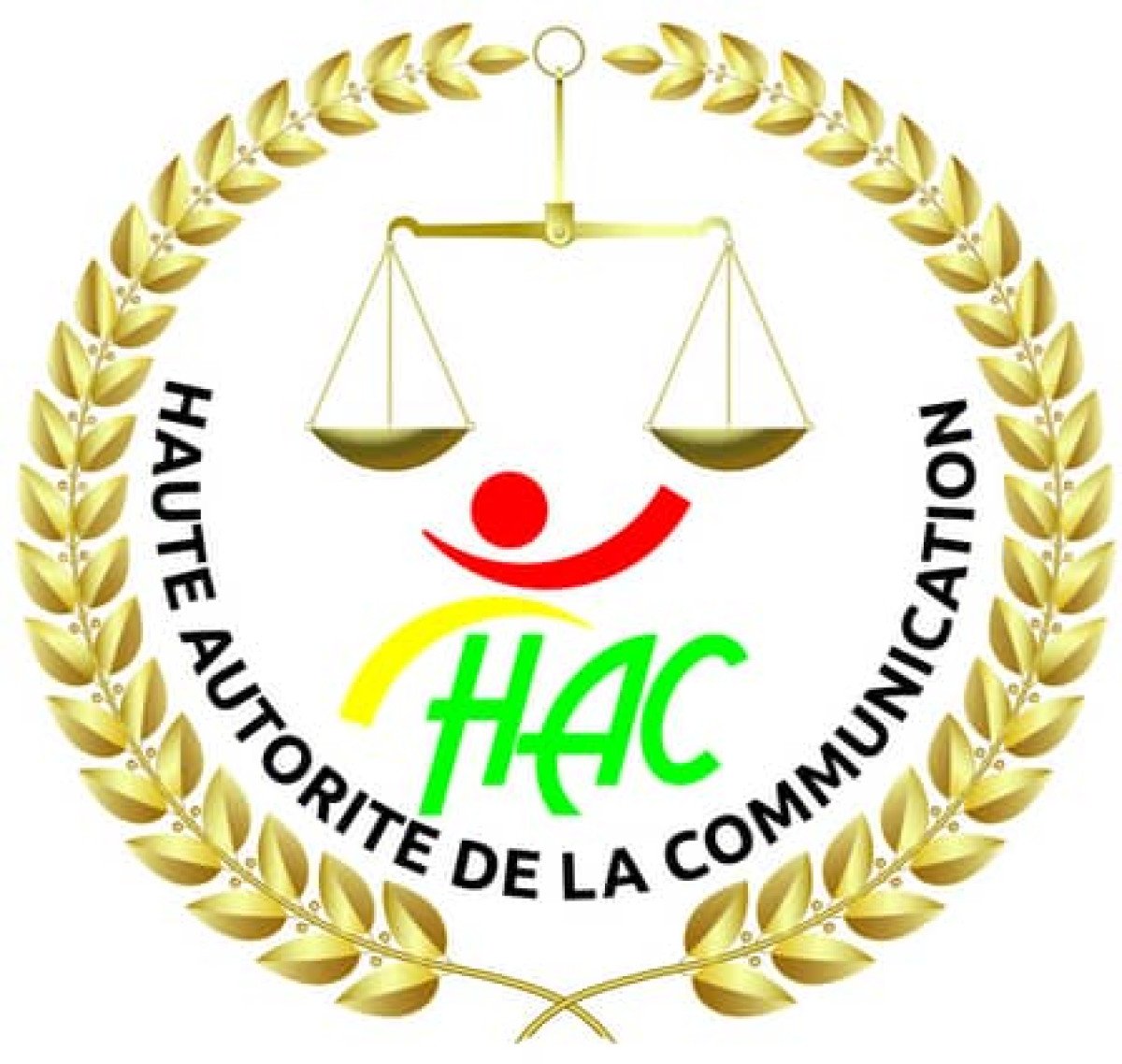 République de Guinée: la Hac lance le recensement des médias privés