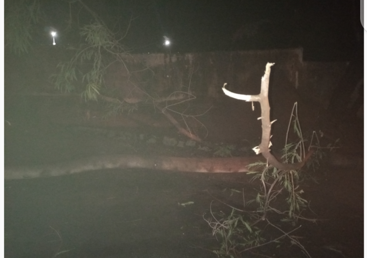 PLUIE DE GRÊLE À PARAKOU : Une branche d&rsquo;arbre fait un mort