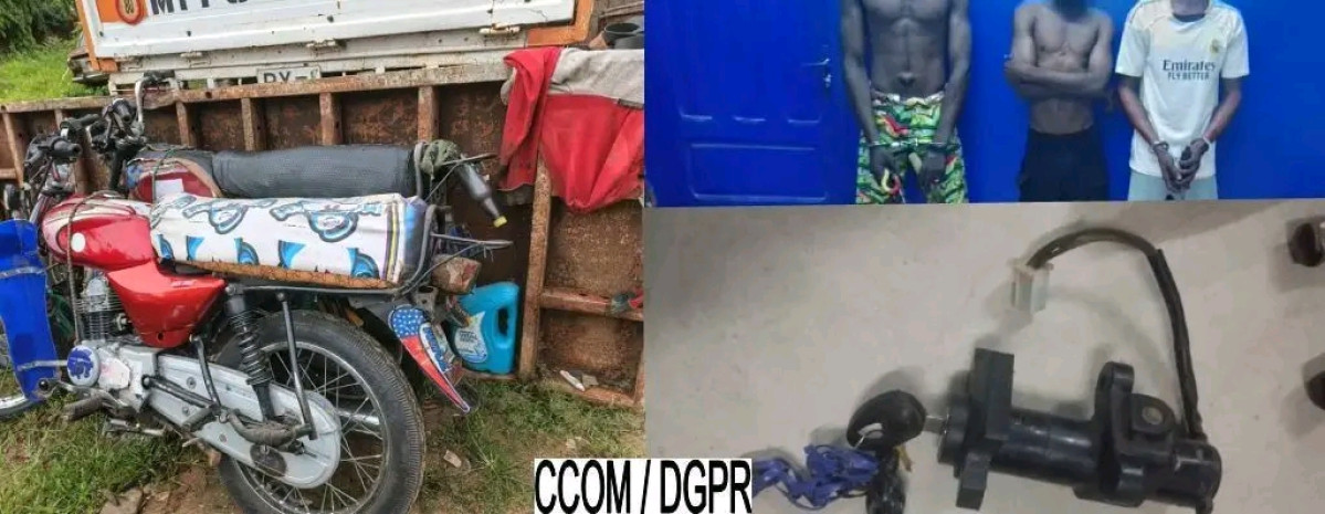 Tchaourou :Un réseau de voleurs de motos et de bétail démantelé, trois suspects interpellés