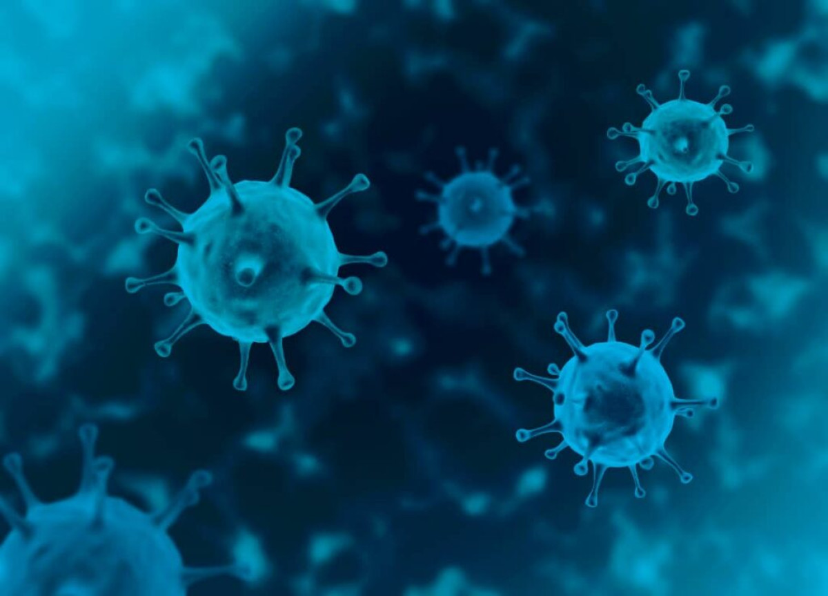VACCIN CONTRE LE CORONAVIRUS : Un responsable de l’Oms émet des doutes