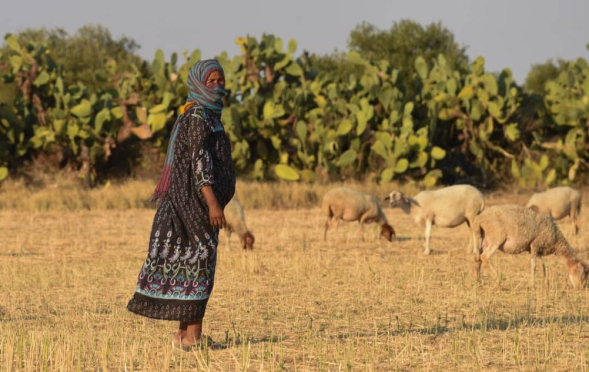 INSÉCURITÉ ALIMENTAIRE EN TUNISIE : Plus de 3 millions de personnes sous menace