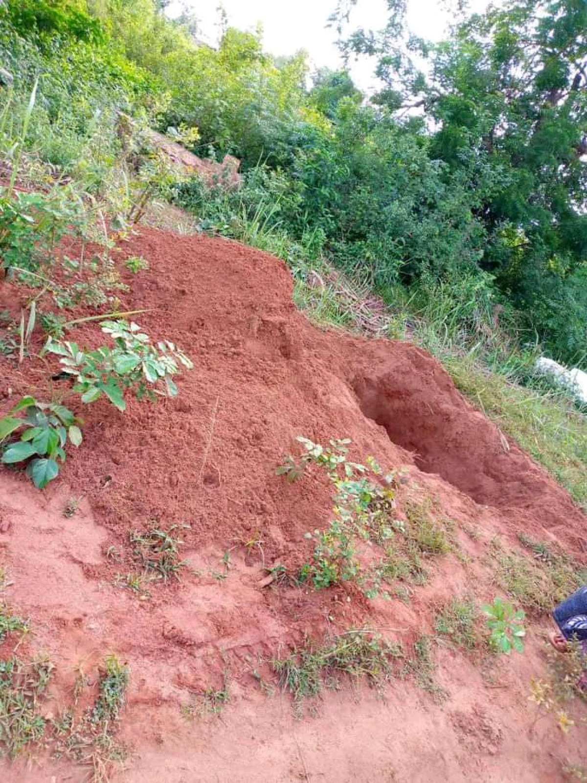 CIMETIERE D’AFFAME : Une tombe profanée