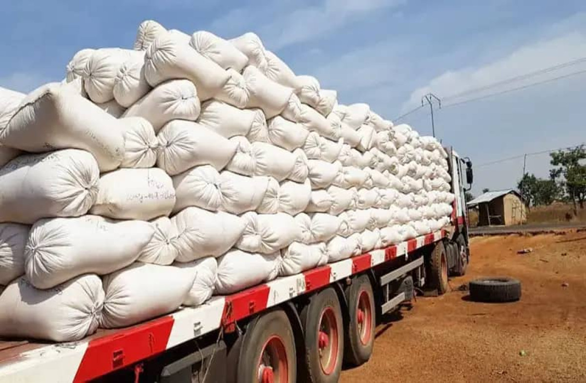 235 MILLIONS RÉCLAMÉS POUR EXPORTATION FRAUDULEUSE DE SOJA : La douane béninoise veut réveiller la colère des producteurs . La saison prochaine très menacée