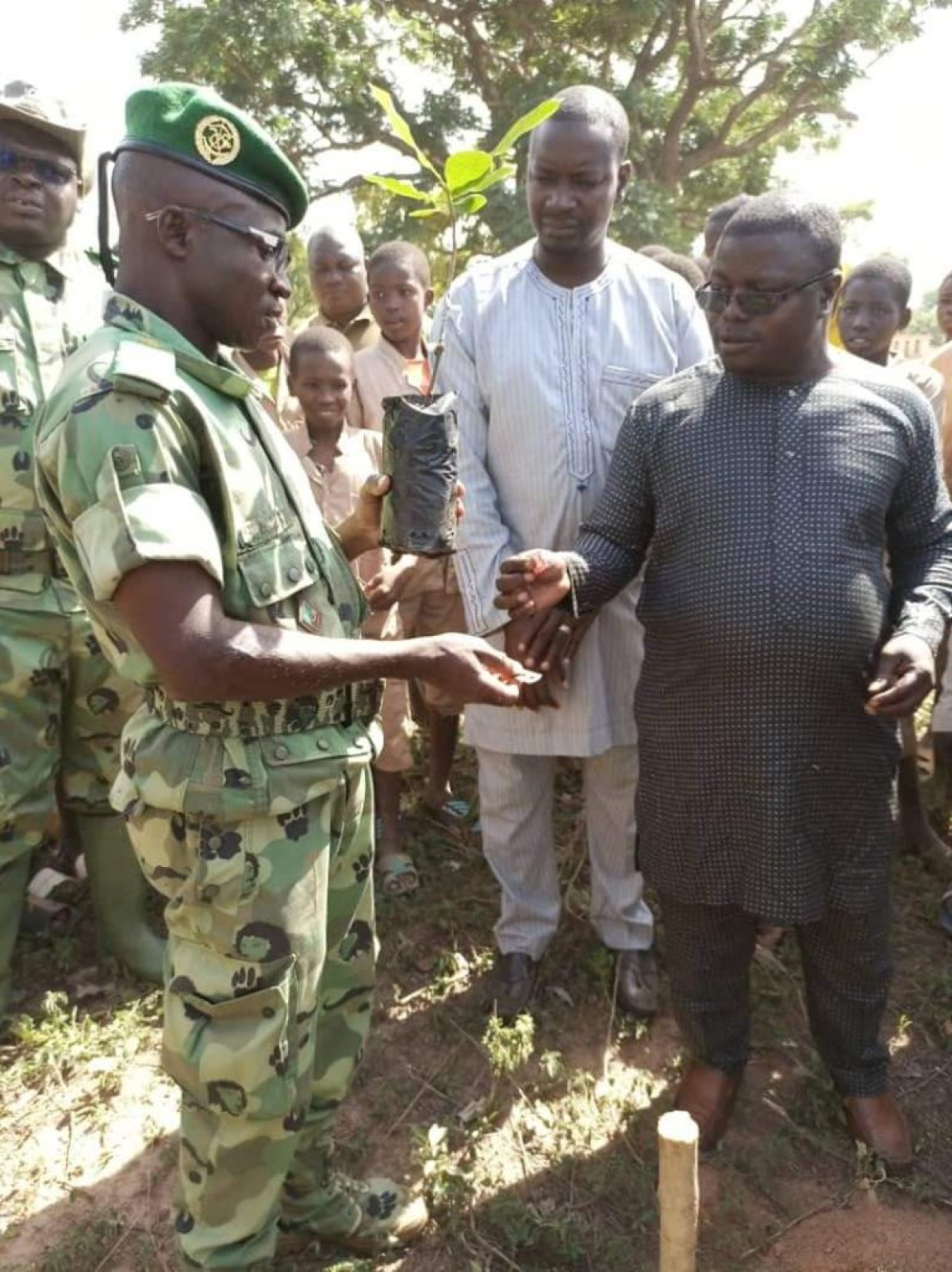 JOURNÉE NATIONALE DE L’ARBRE À NIKKI : Le Ceg Sakabansi a reçu 500 plants