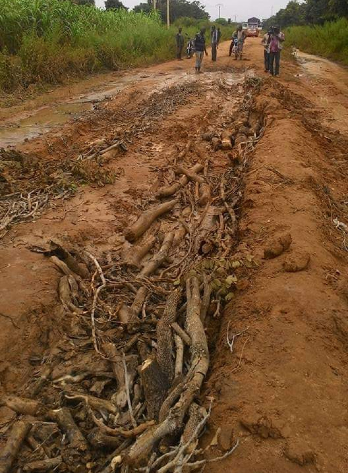 BITUMAGE DES ROUTES NIKKI-KALALÉ-SÉGBANA, KOTA-KOUANDÉ ET N&rsquo;DALI-NIKKI-TCHIKANDOU : Le gouvernement donne un coup d&rsquo;accélérateur au projet 