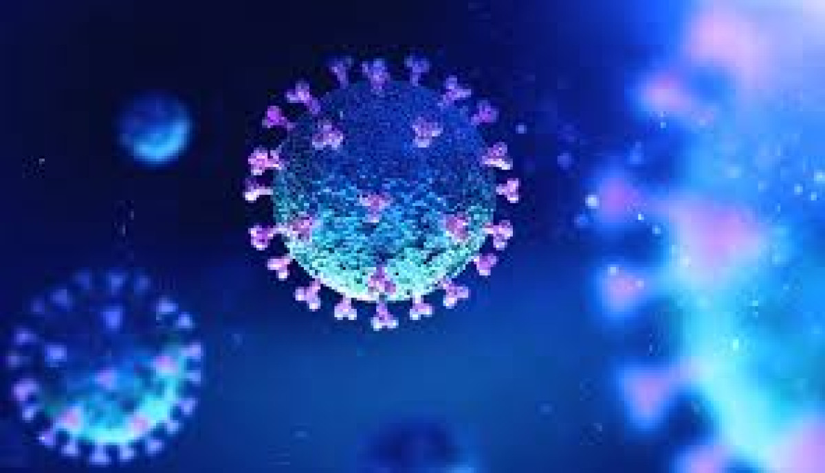 ALLEGEMENT DES MESURES DE PREVENTION DE LA PROPAGATION DU CORONAVIRUS : Le Bénin saute le verrou le 2 juin prochain . Lieux de culte, bars et transports en commun reprennent vie