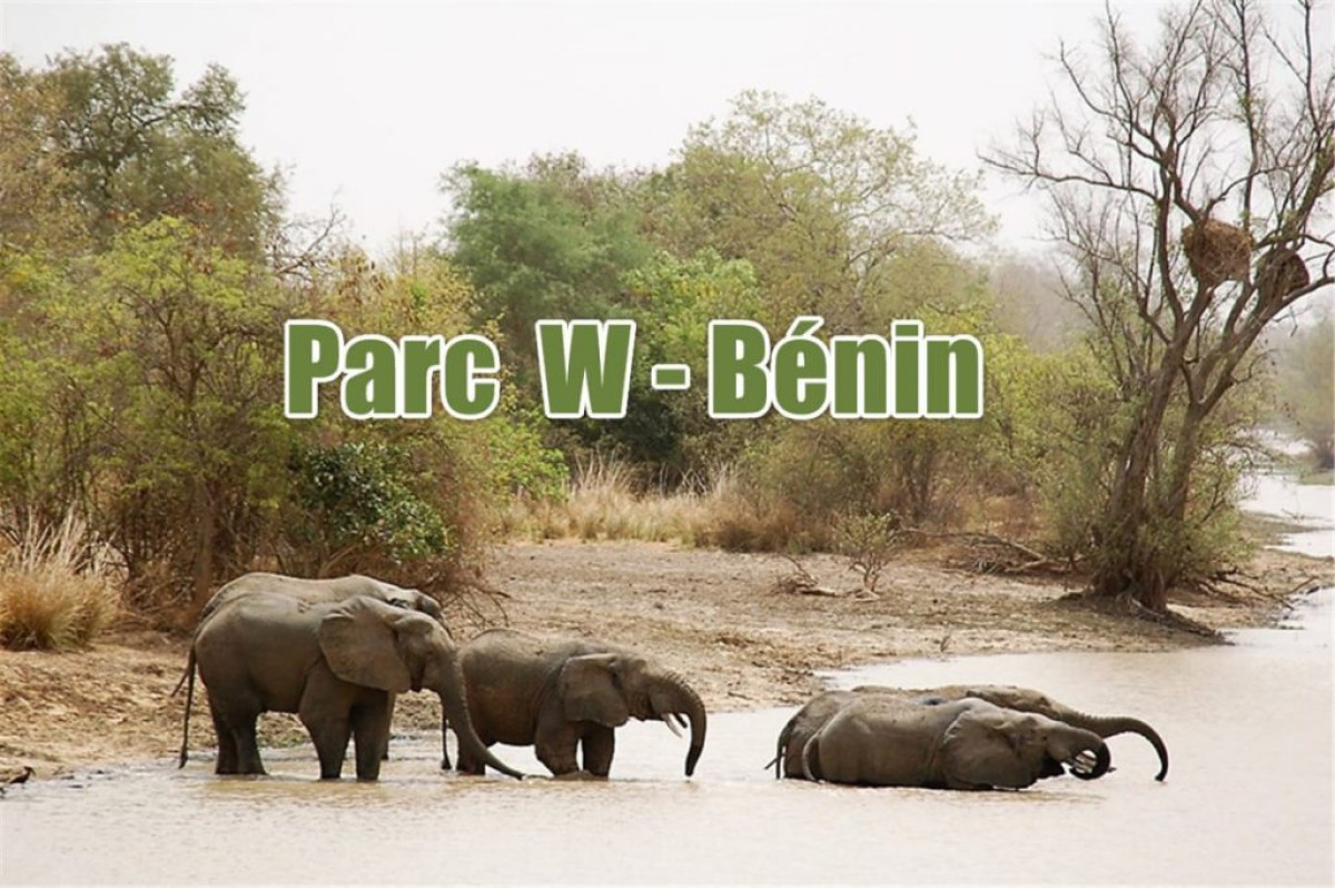 BÉNIN/ATTAQUES TERRORISTES AU PARC W : Un coup dur pour le tourisme