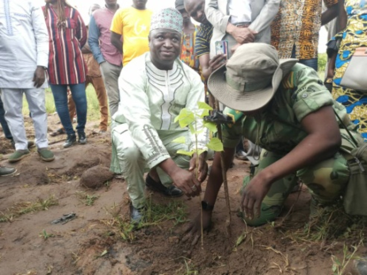 JOURNÉE NATIONALE DE L’ARBRE À PARAKOU : La mairie met 2500 plants en terre