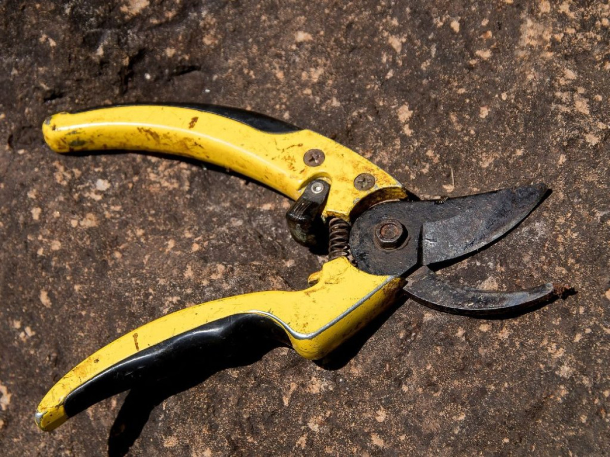 BENIN/FAITS DIVERS : Elle tente d’arracher le gland de son époux . Voici la raison