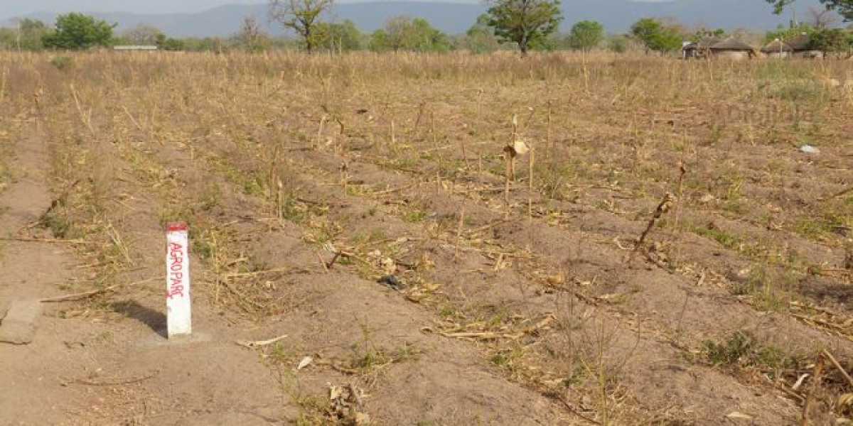 BÉNIN : 635 opérations de lotissement annulées