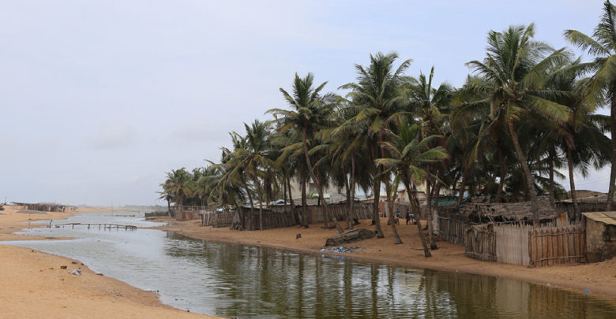 BENIN/REBOISEMENT DU SEGMENT DE LA PLAGE : Les occupants du long de la bande côtière invités à libérer l’espace
