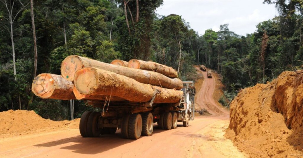 PRODUITS FORESTIERS AU BÉNIN : De nouvelles mesures et modalités d’exportation définies