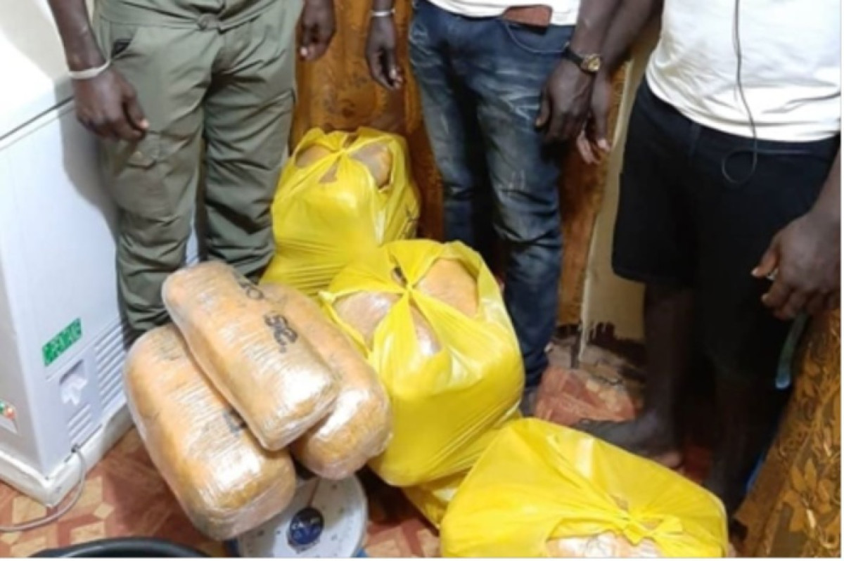 BÉNIN : La drogue circule comme ce n’est pas permis