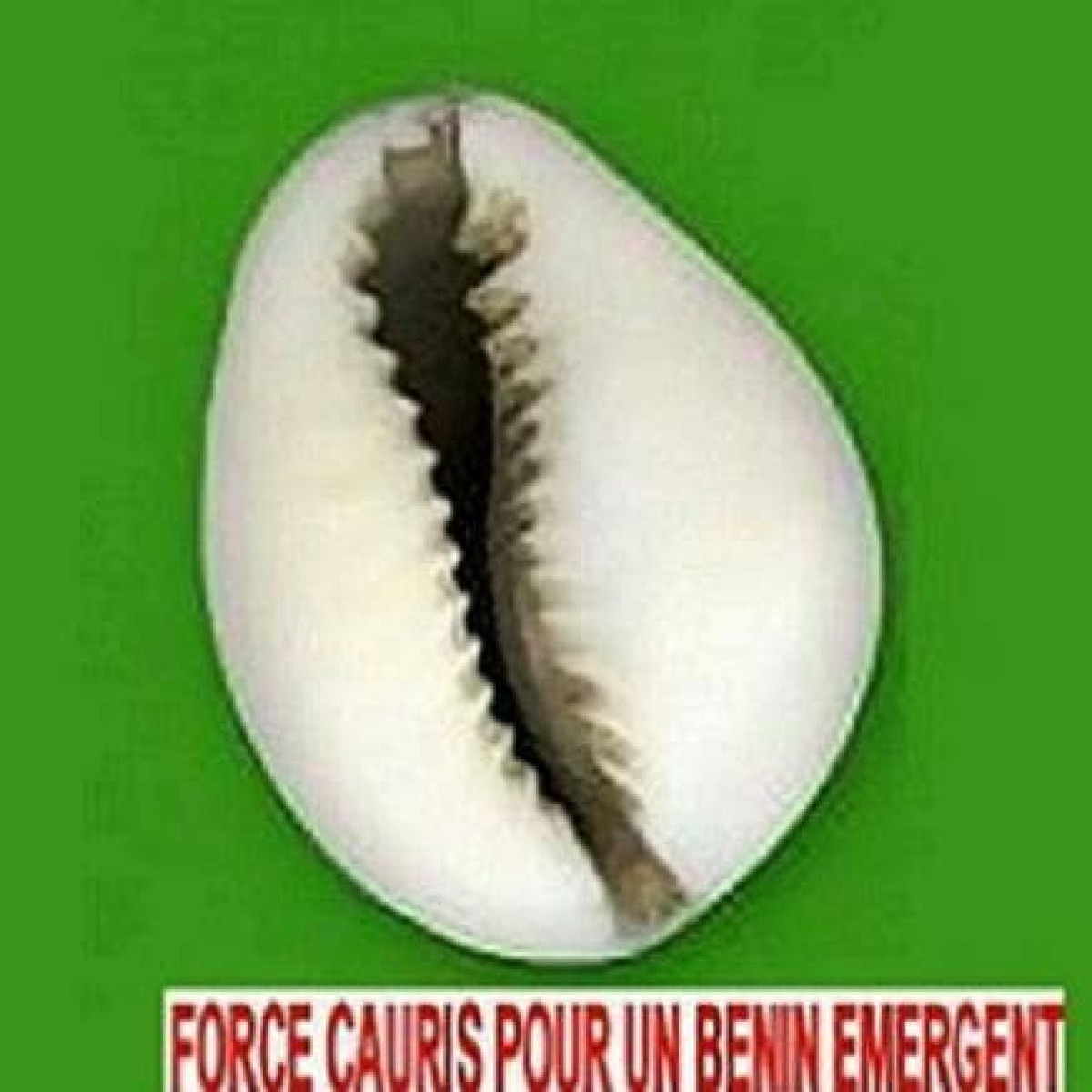 RECONNAISSANCE DES PARTIS POLITIQUE AU BÉNIN : Les Fcbe obtiennent leur récépissé provisoire