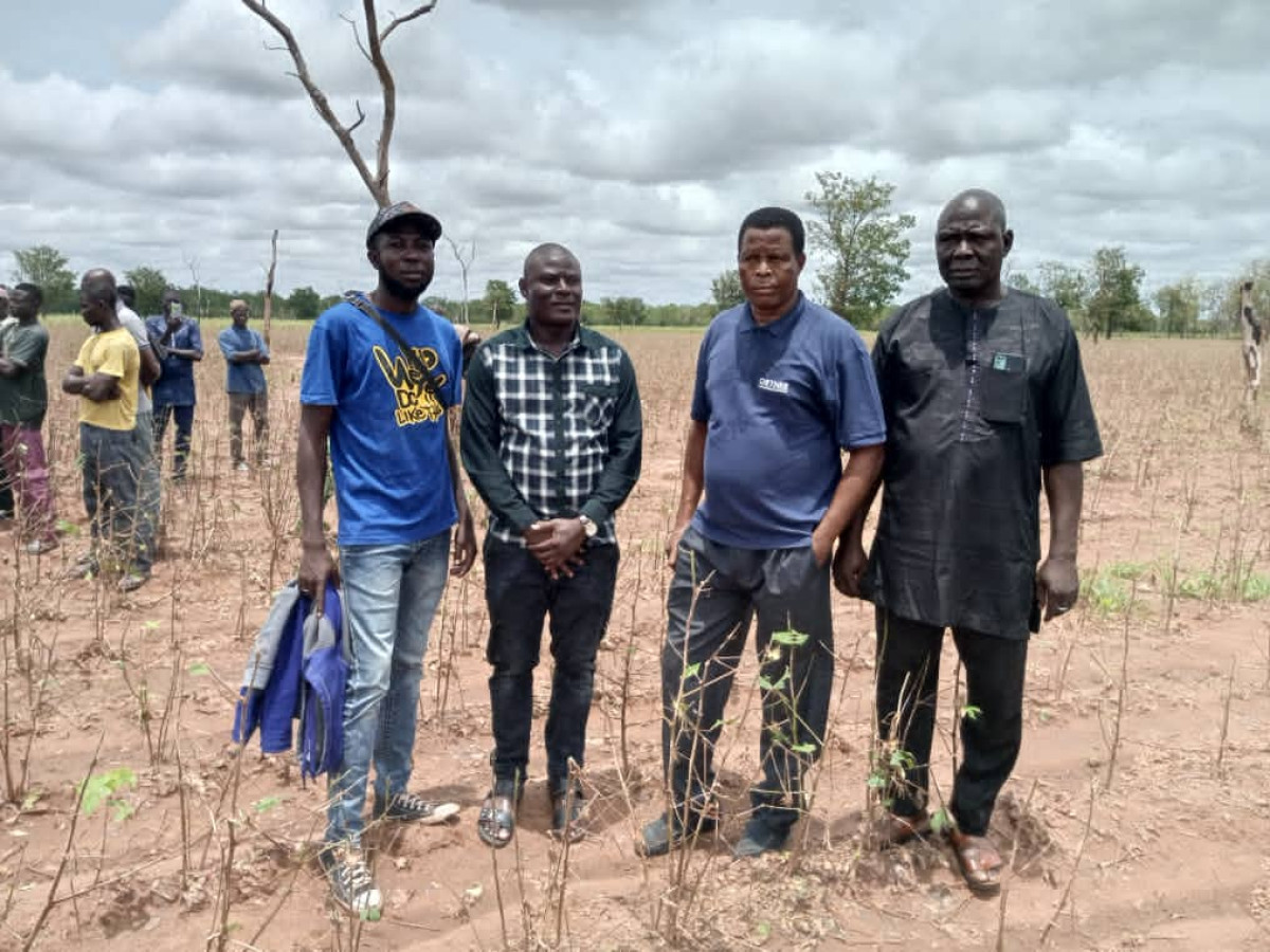 DESTRUCTION DE CHAMPS DE COTON SUITE À UN OURAGAN À KANDI ET MALANVILLE : La Fn-Cvpc apporte son soutien aux producteurs sinistrés . Le cris de cœur du président Gani Badou Tamou au gouvernement