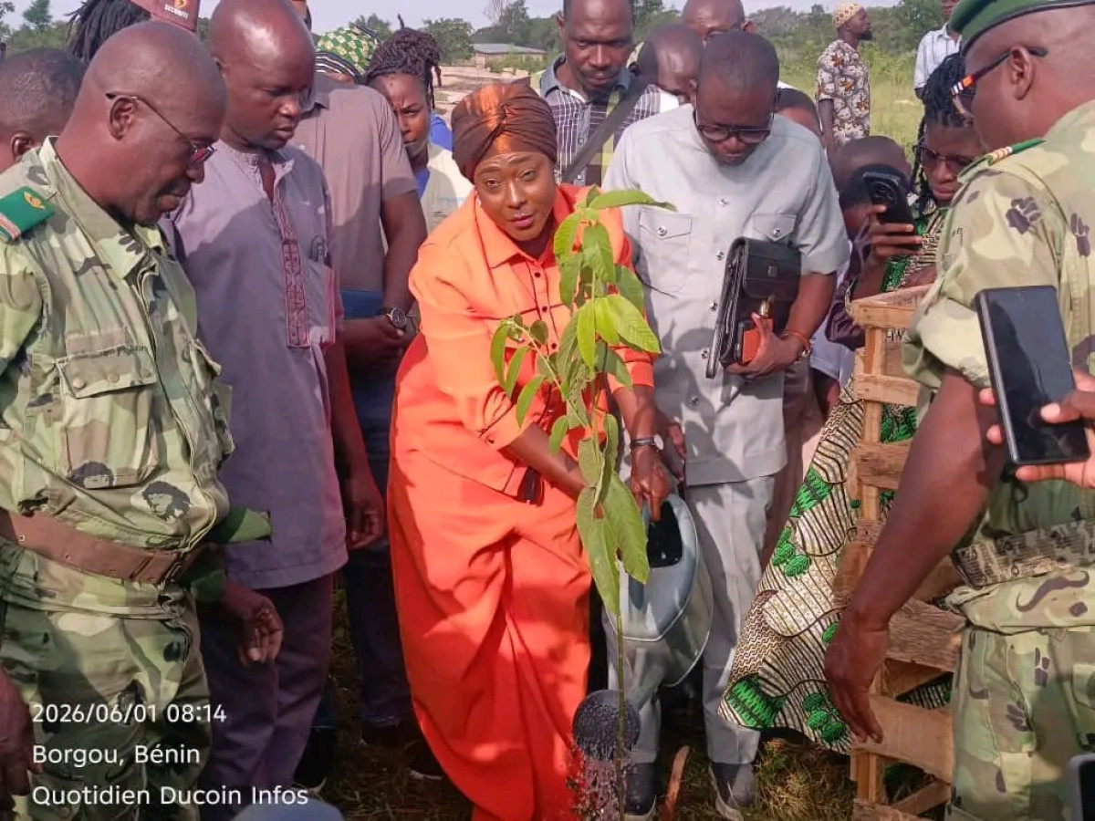 Journée nationale de l'arbre, édition 2026: 1500 plants mis en terre à Parakou