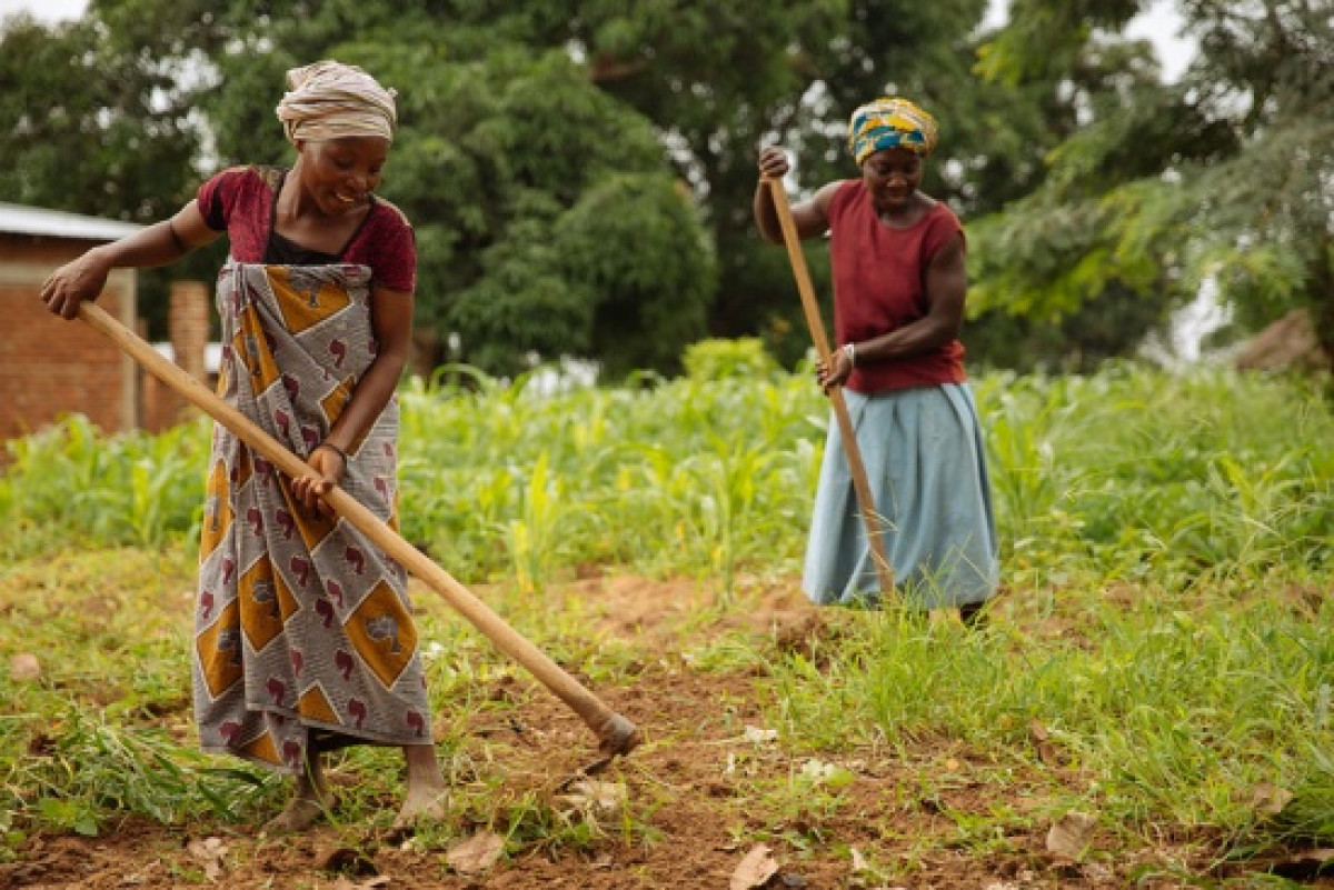 FEMMES RURALES EN AFRIQUE : Le dos large sur lequel reposent la famille et le développement