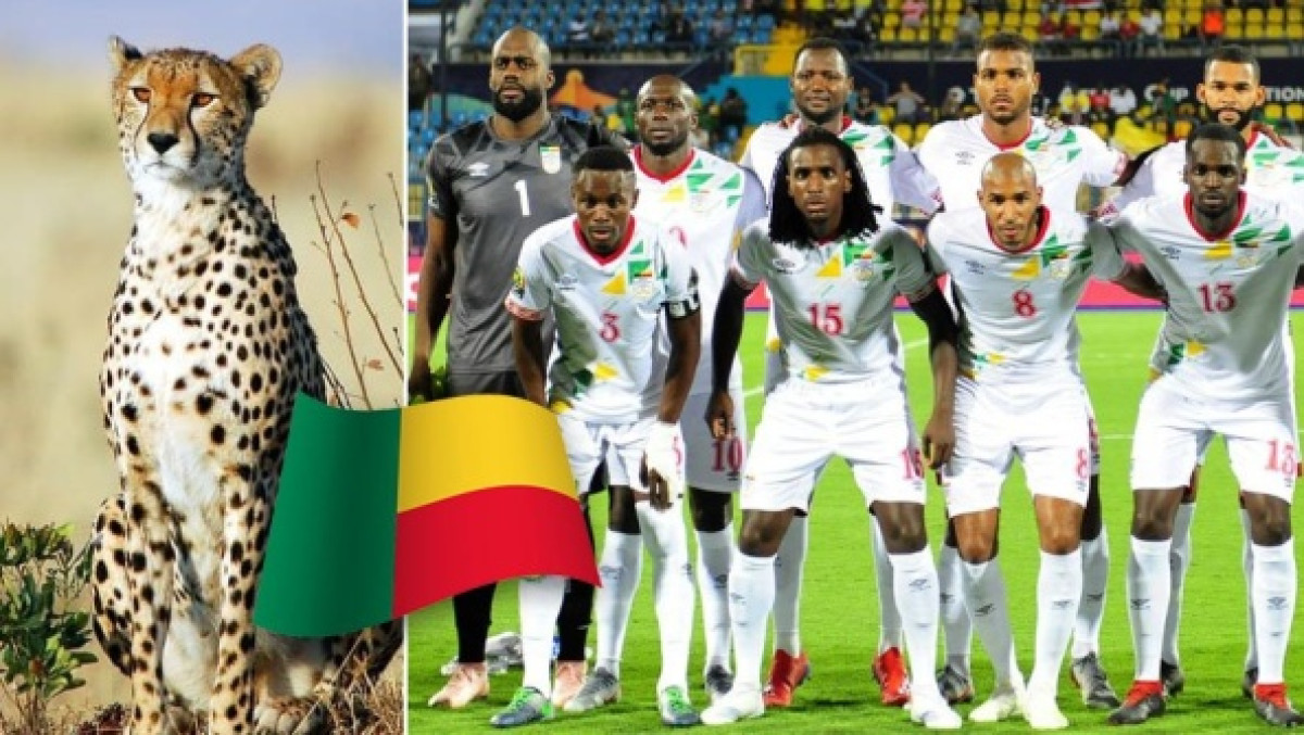 FOOTBALL/CHANGEMENT DU NOM DES ÉCUREUILS DU BÉNIN EN GUÉPARDS : Réactions des citoyens de Parakou